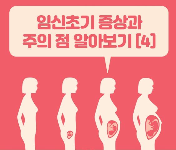 임신 초기 증상과 주의 점 알아보기