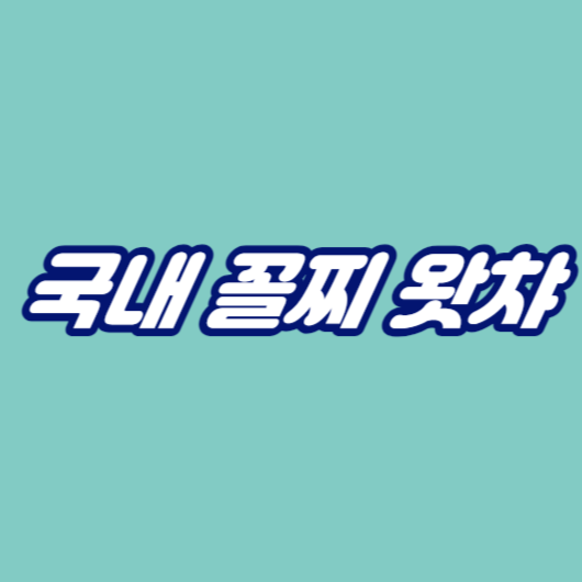 국내 꼴찌 왓챠