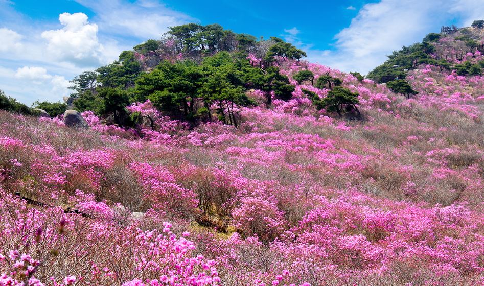 대구 가볼만한곳 베스트10