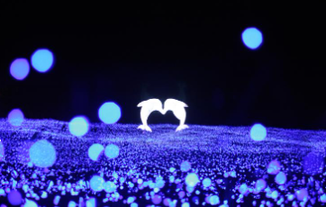 2025 도봉별빛축제