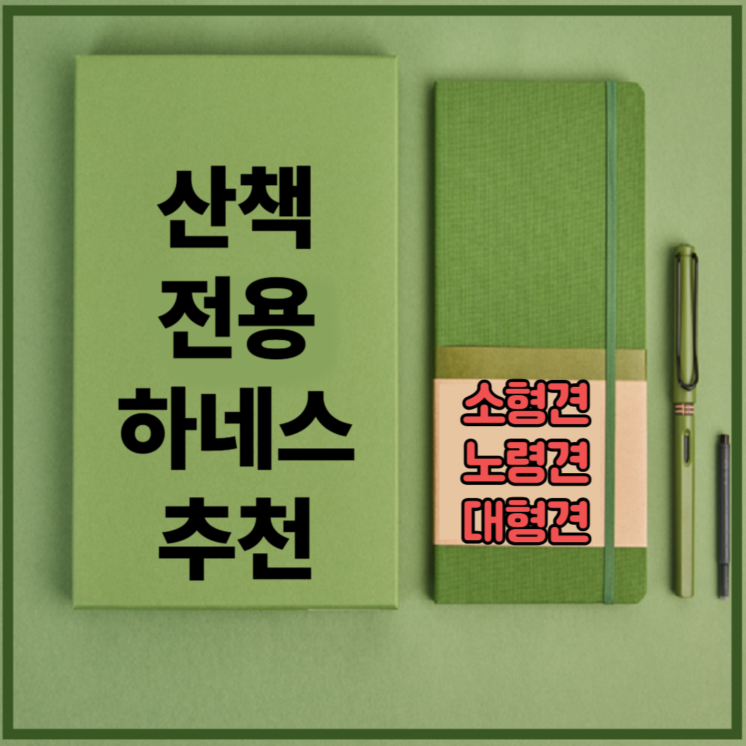 산책 전용 하네스 추천 - 강아지 몸에 무리 없는 편안한 선택