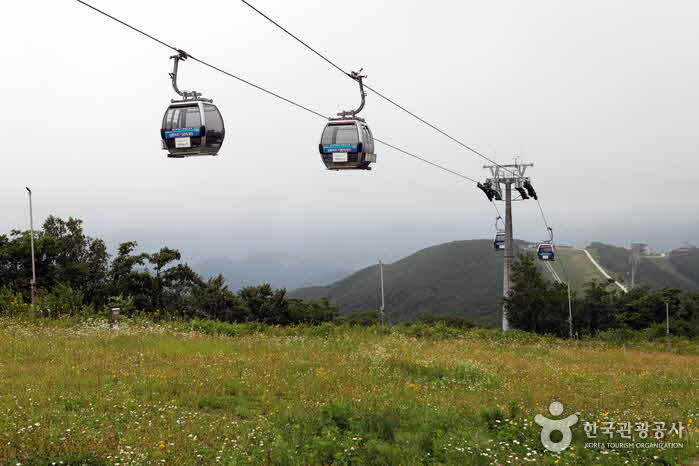 하이원 운탄고도 케이블카