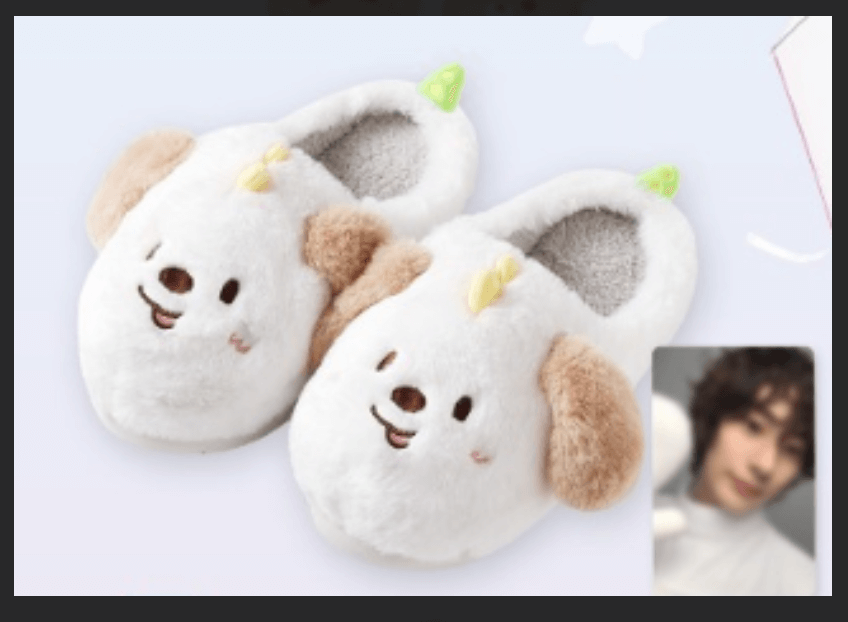 라이즈 콘서트 2025 1