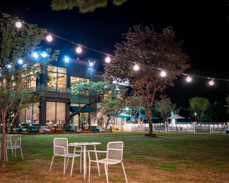 고양시 애견카페 추천 BEST 5 : 강아지와 함께 가기 좋은 실제 운영 카페 총정리