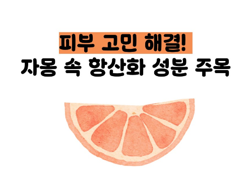 자몽 효능