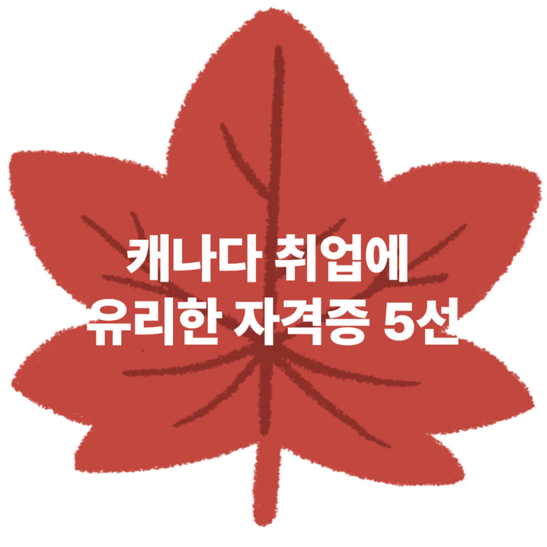 캐나다 취업에 유리한 자격증 5종