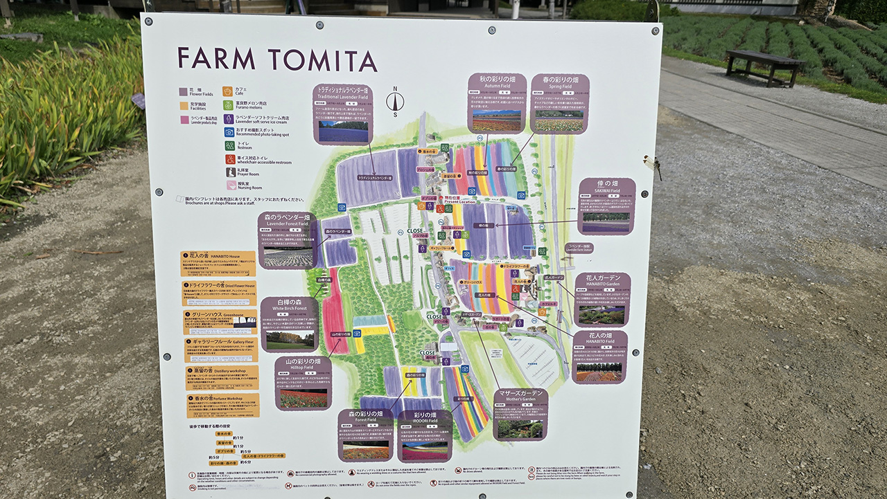 팜토미타 안내도