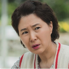 전봉애