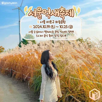 서울 억새축제 2025 일정위치 총정리로 안내_2