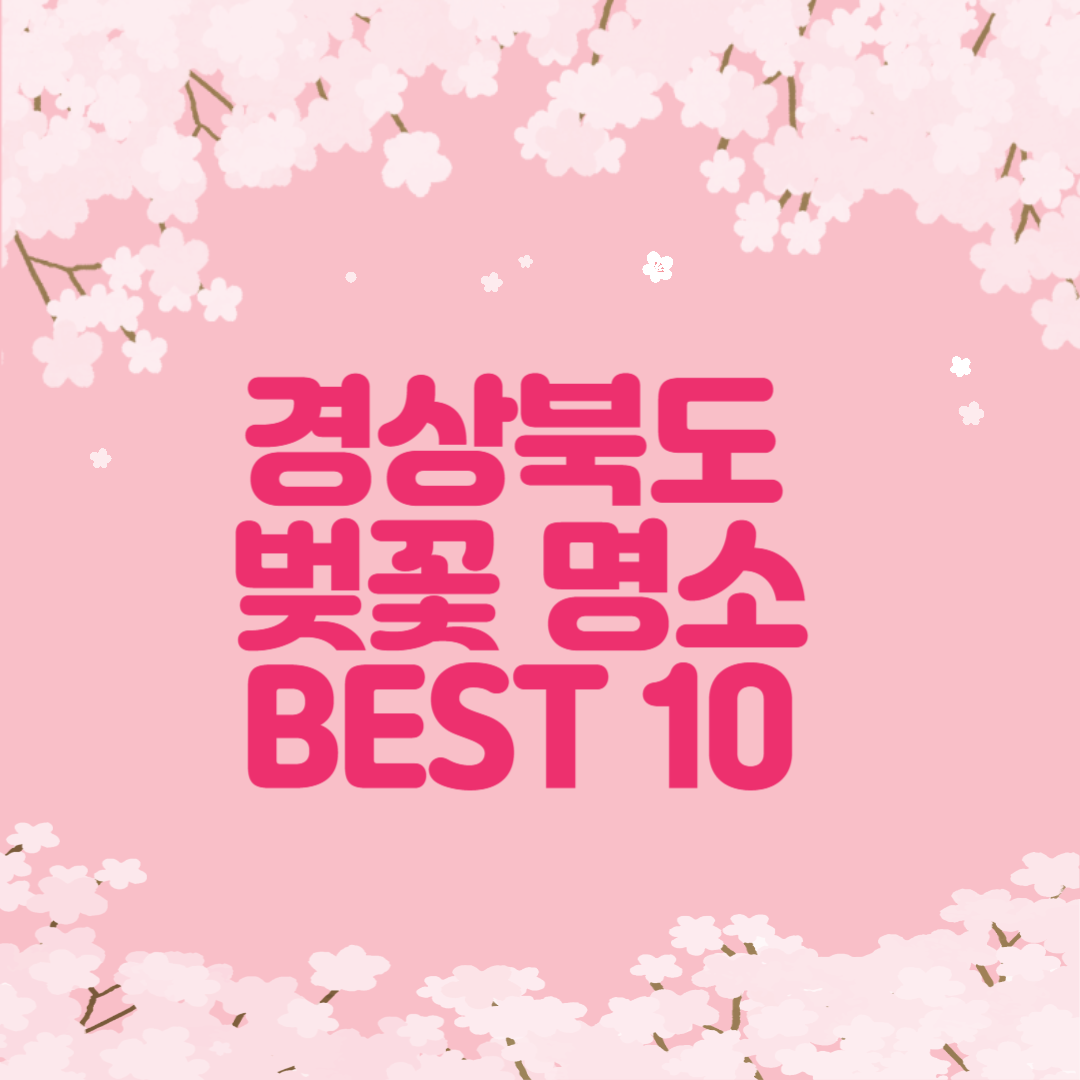 경상북도 벚꽃 명소 베스트10 가볼만한곳 봄날 벚꽃 스팟 총정리