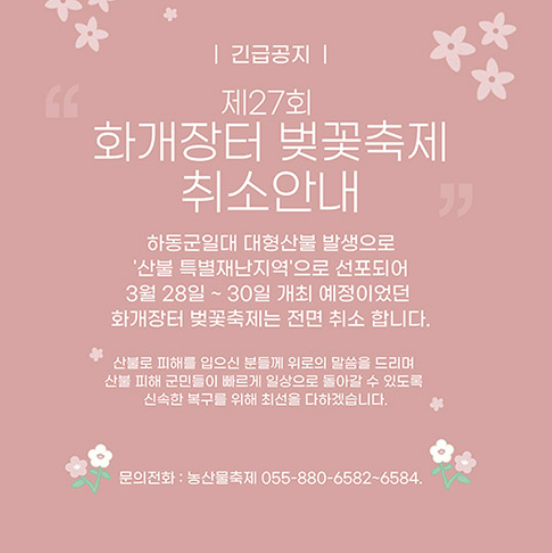 2025년 벚꽃축제 취소 및 축소운영 지역