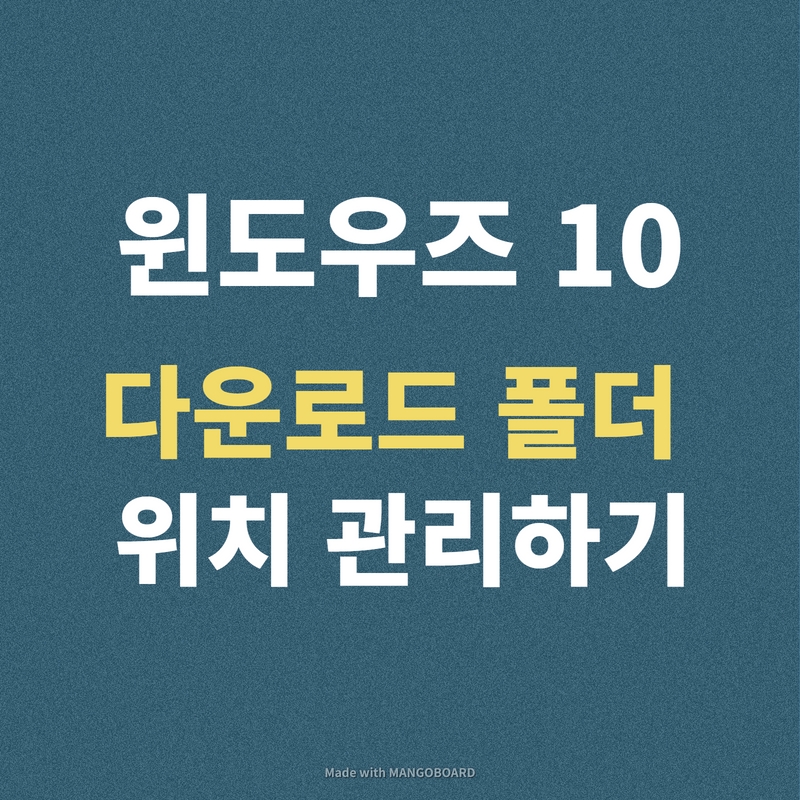 다운로드 폴더 관리