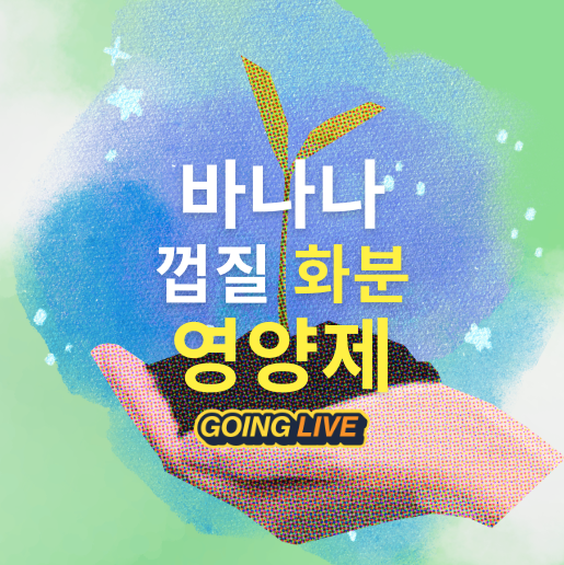 바나나 껍질로 화분 영양제 만드는 글입니다.