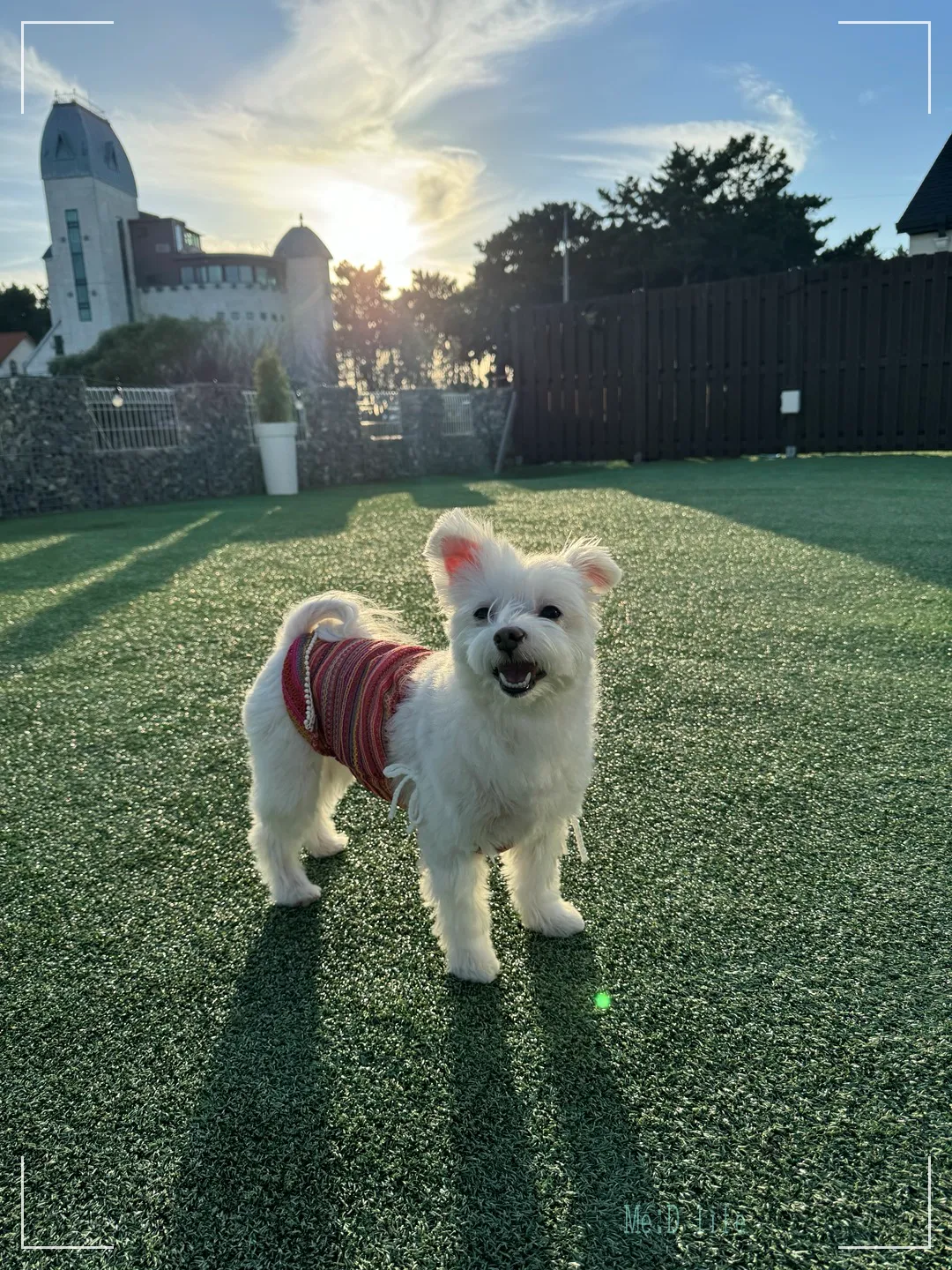 토리푸하우스-강아지-애견-펜션-독채-풀빌라-마당