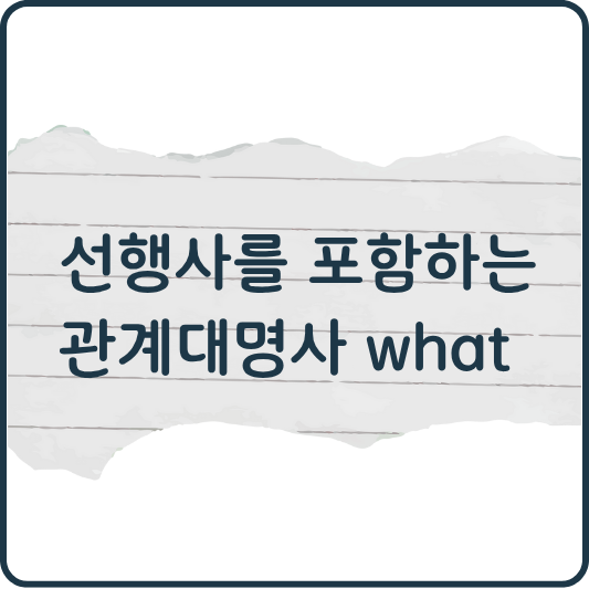 선행사를 포함한 관계대명사 what 쉽게 이해하기