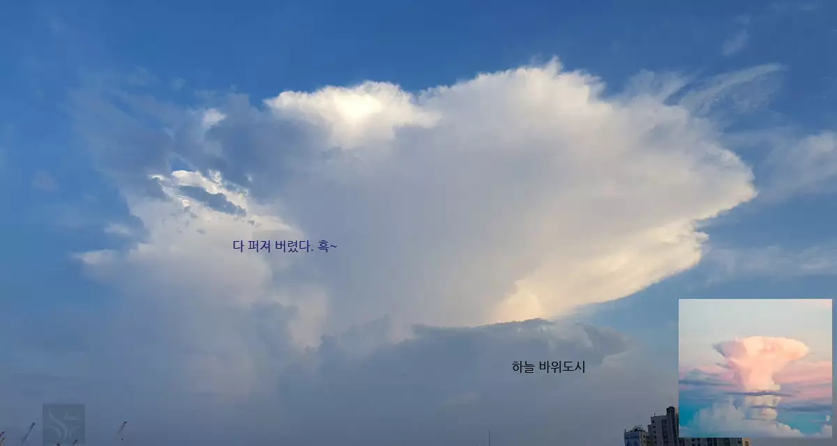 신기한 구름