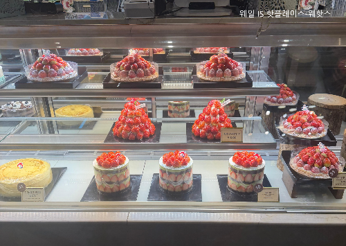 성심당 시루 및 케이크류