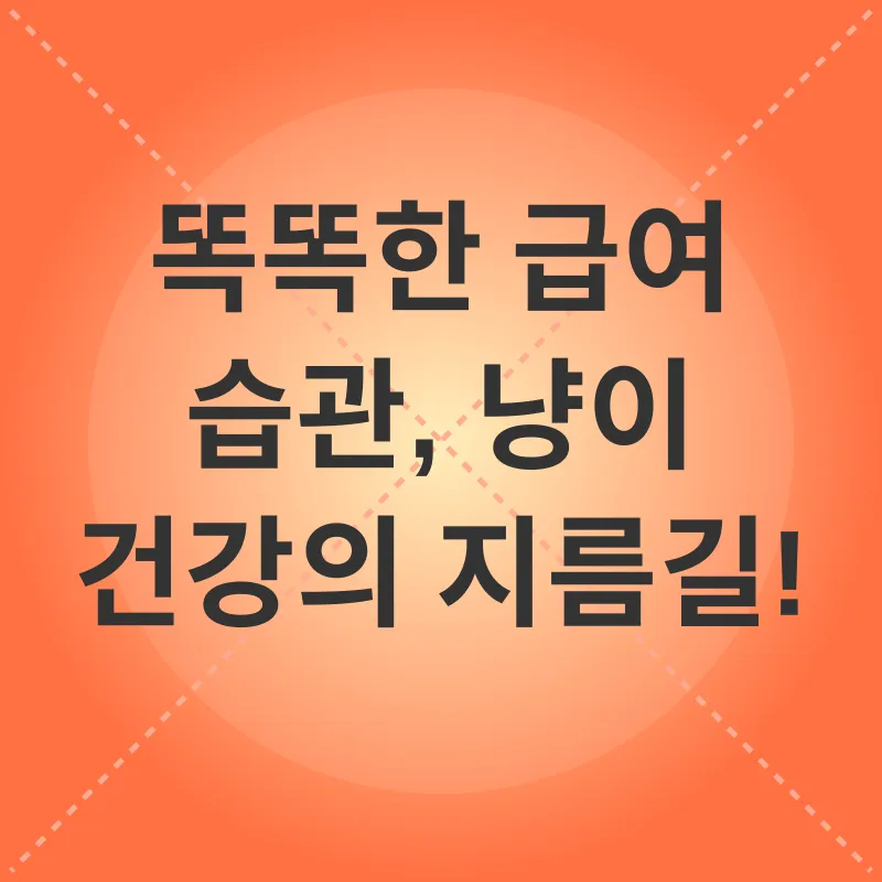 고양이 식단 관리_3