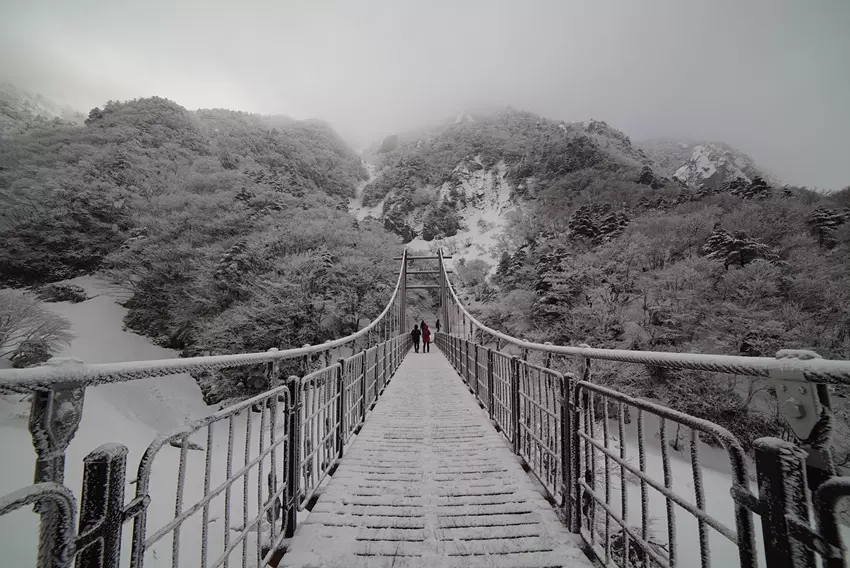 한라산 영실코스