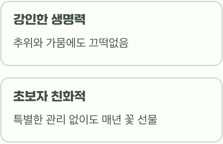 봄을 가장 먼저 알리는 생명력