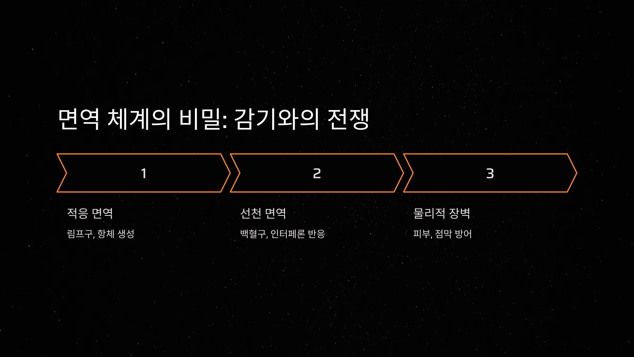 왜 우리는 감기에 걸릴까? 감기 걸리는 이유와 면역 체계의 비밀