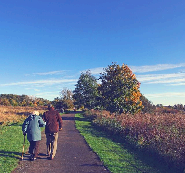 은퇴 후의 노년