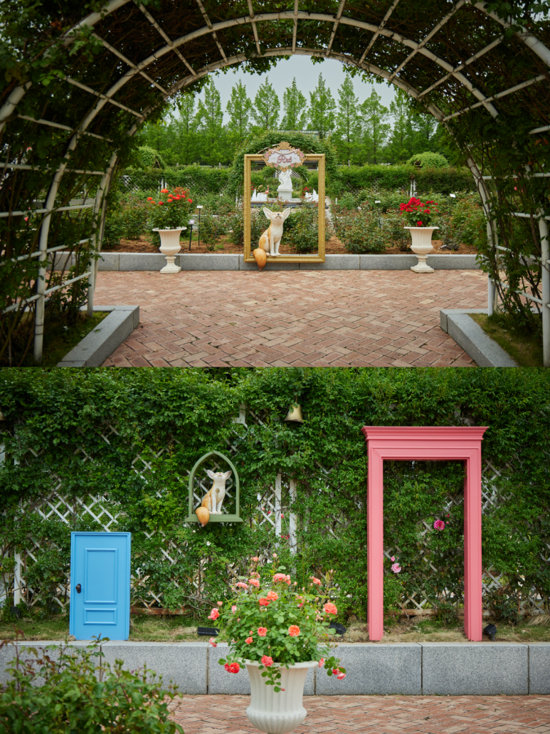 에버랜드 로로티 장미축제