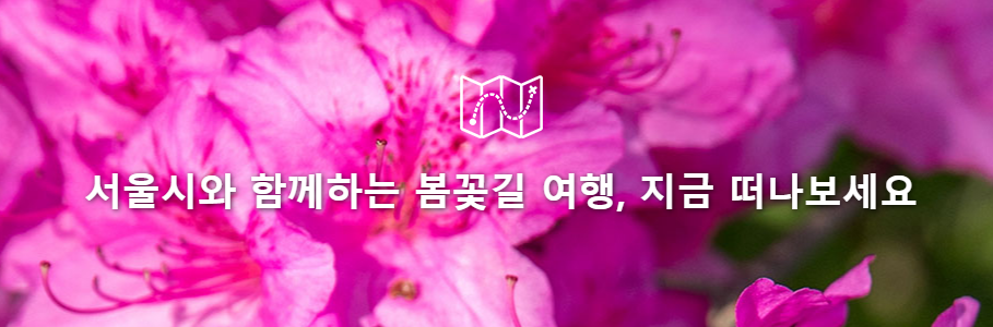 서울시 봄꽃길 드라이브 여행