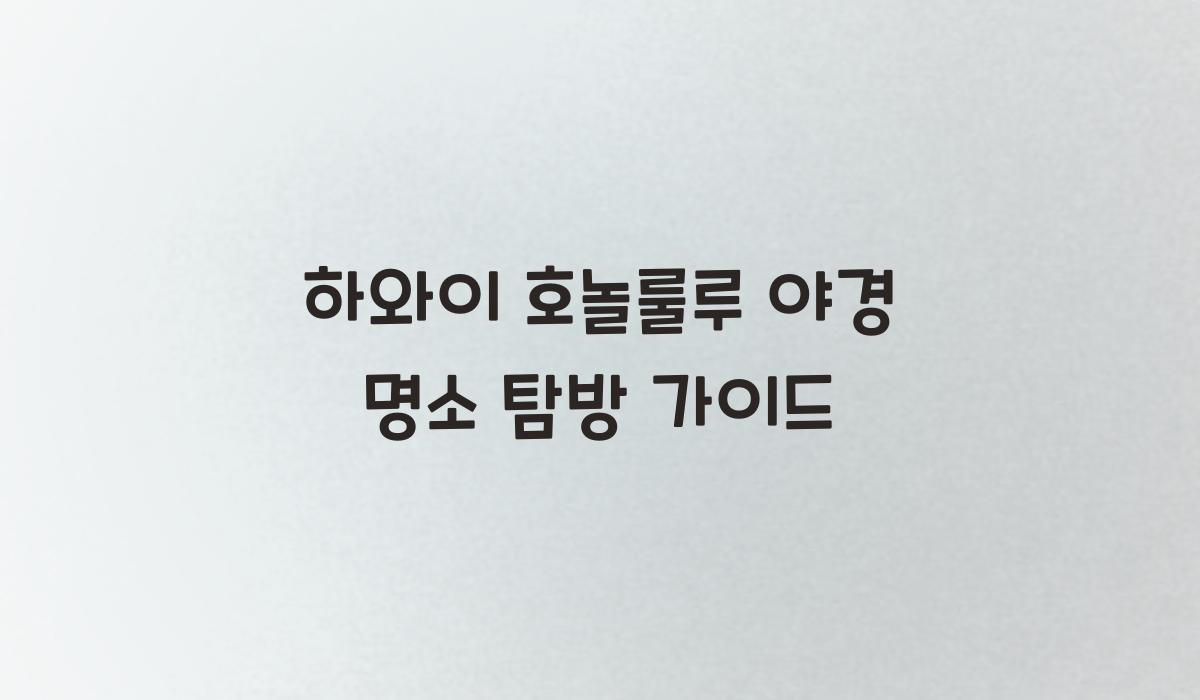 하와이 호놀룰루 야경 명소