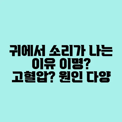 귀에서 소리가 나는 이유 이명? 고혈압? 원인 다양