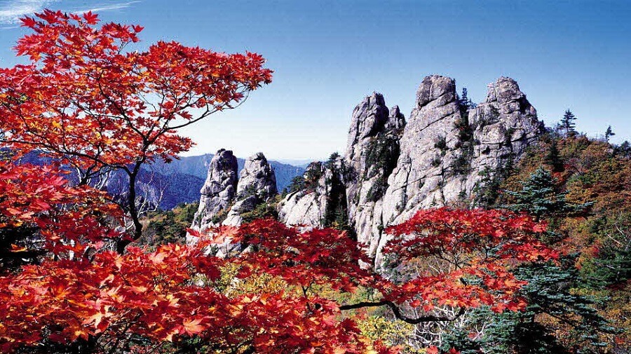 2024 설악산 단풍축제: 가을의 아름다움을 만끽하는 방법 🍂