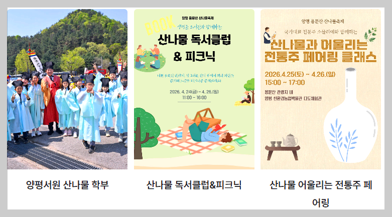 용문산 산나물축제