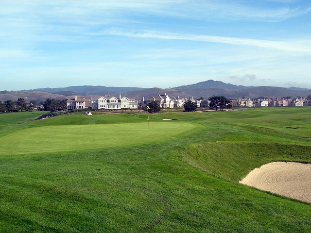 초록색 그린의 모습