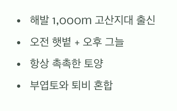 비결 1. 고향의 품, '반그늘'과 '촉촉함'