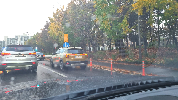 셀토스-발레그린-실물색깔2