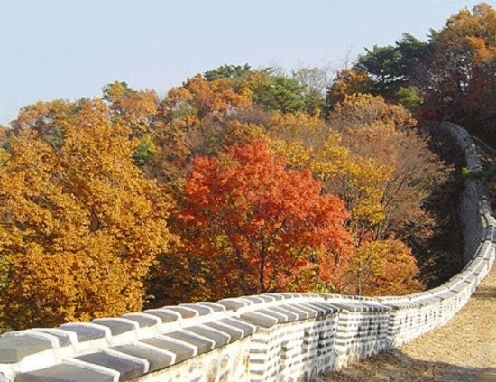 서울 경기 인근 단풍여행지