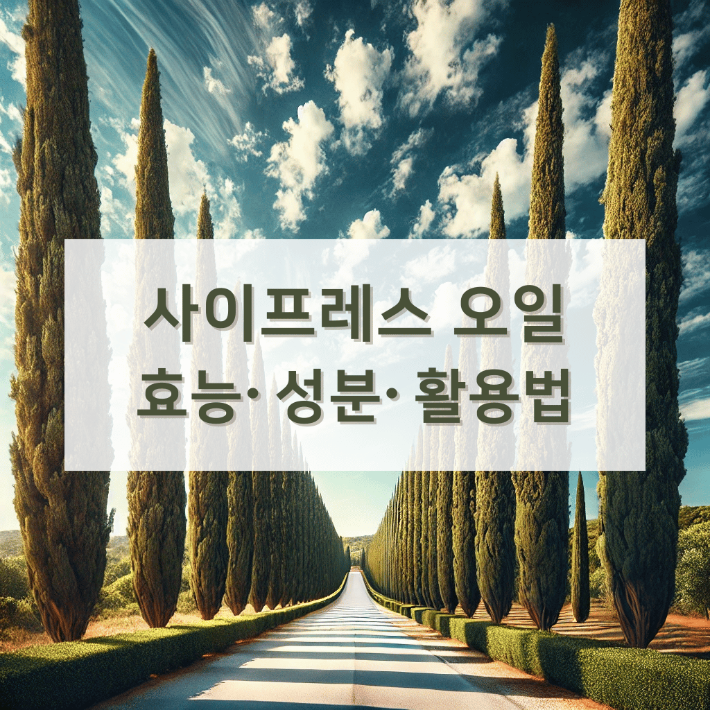 사이프레스 오일 효능, 성분, 사용법