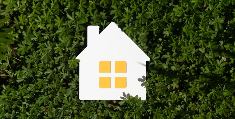 주택그림과 잔디