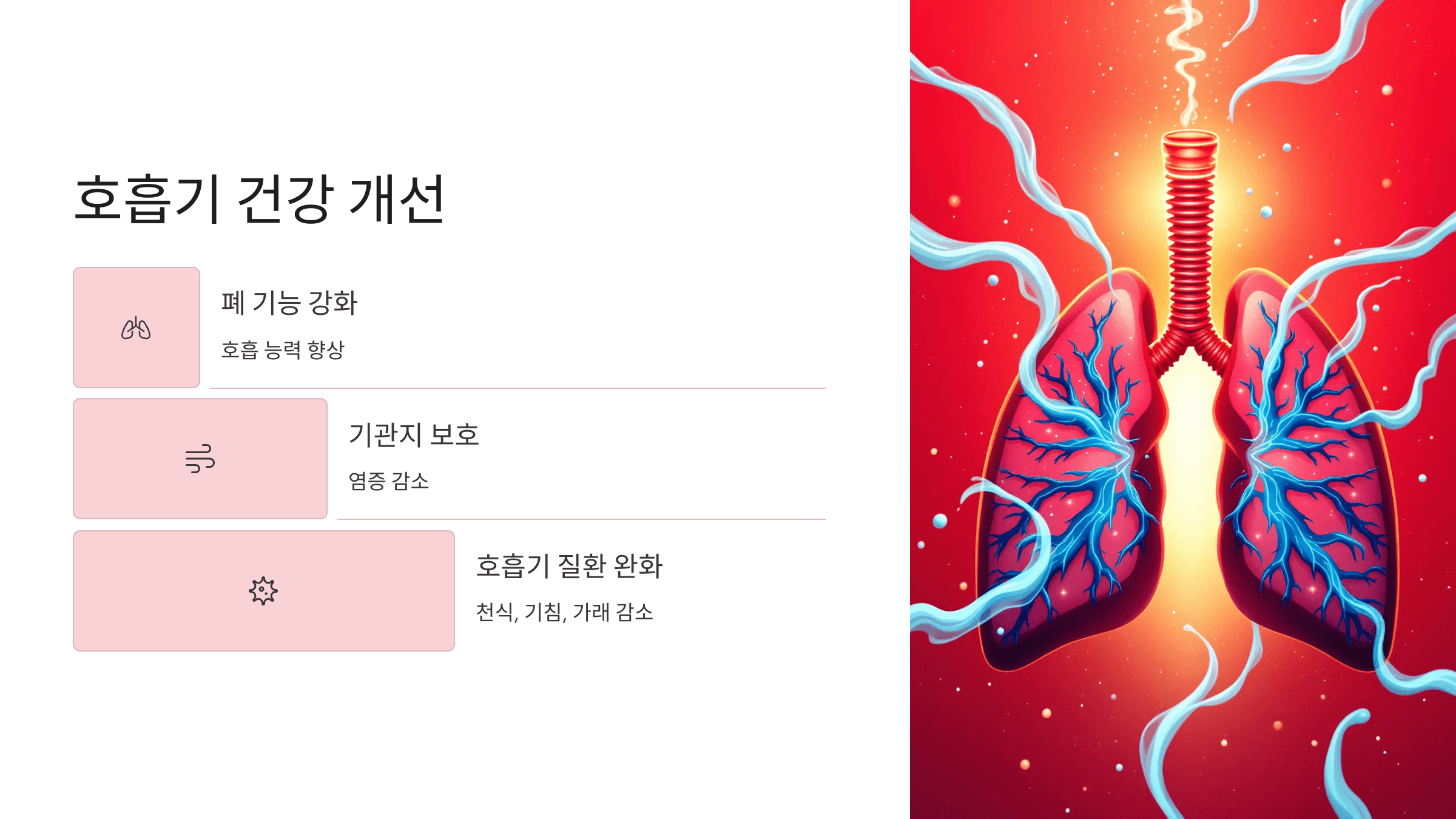 오미자 사진입니다.