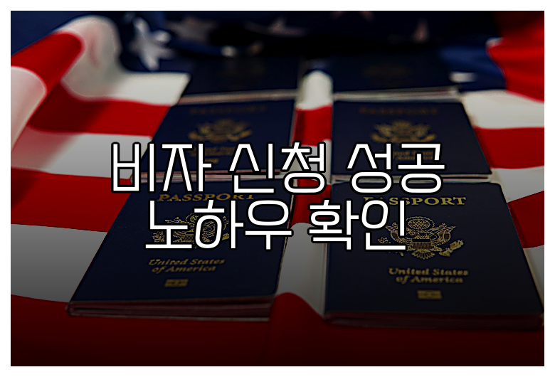 비자 신청 성공 노하우 확인