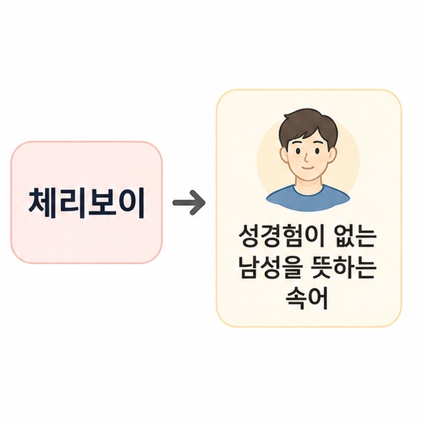 체리보이가 성경험이 없는 남성을 뜻하는 속어임을 설명한 이미지