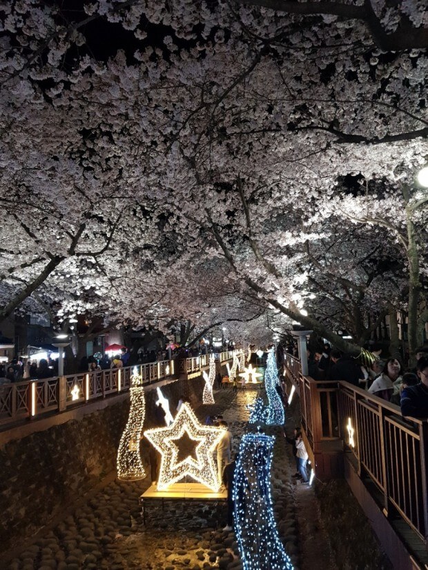 진해 군항제