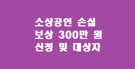 소상공인 손실보상 300만원