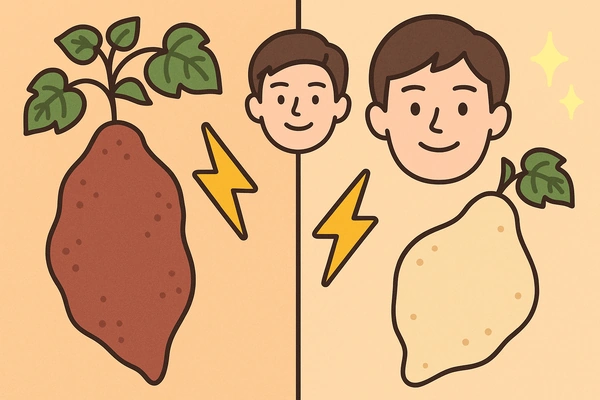 적하수오 백하수오 차이와 효능 비교17