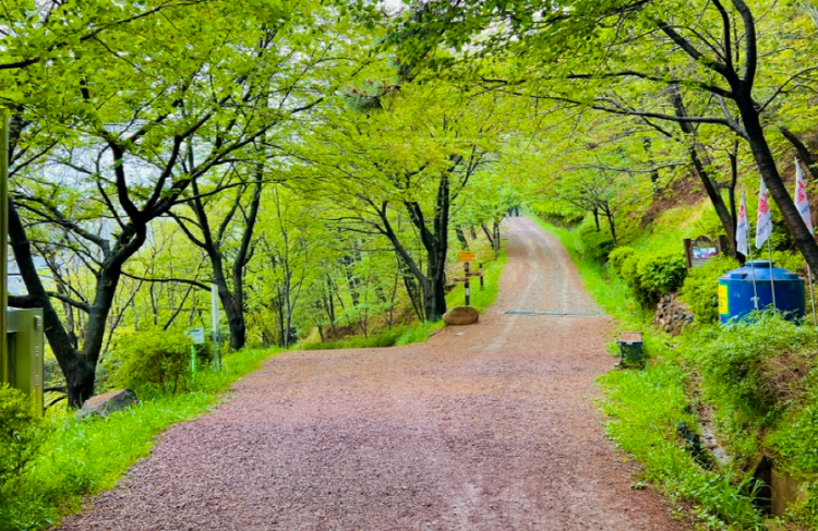 백양산 등산코스