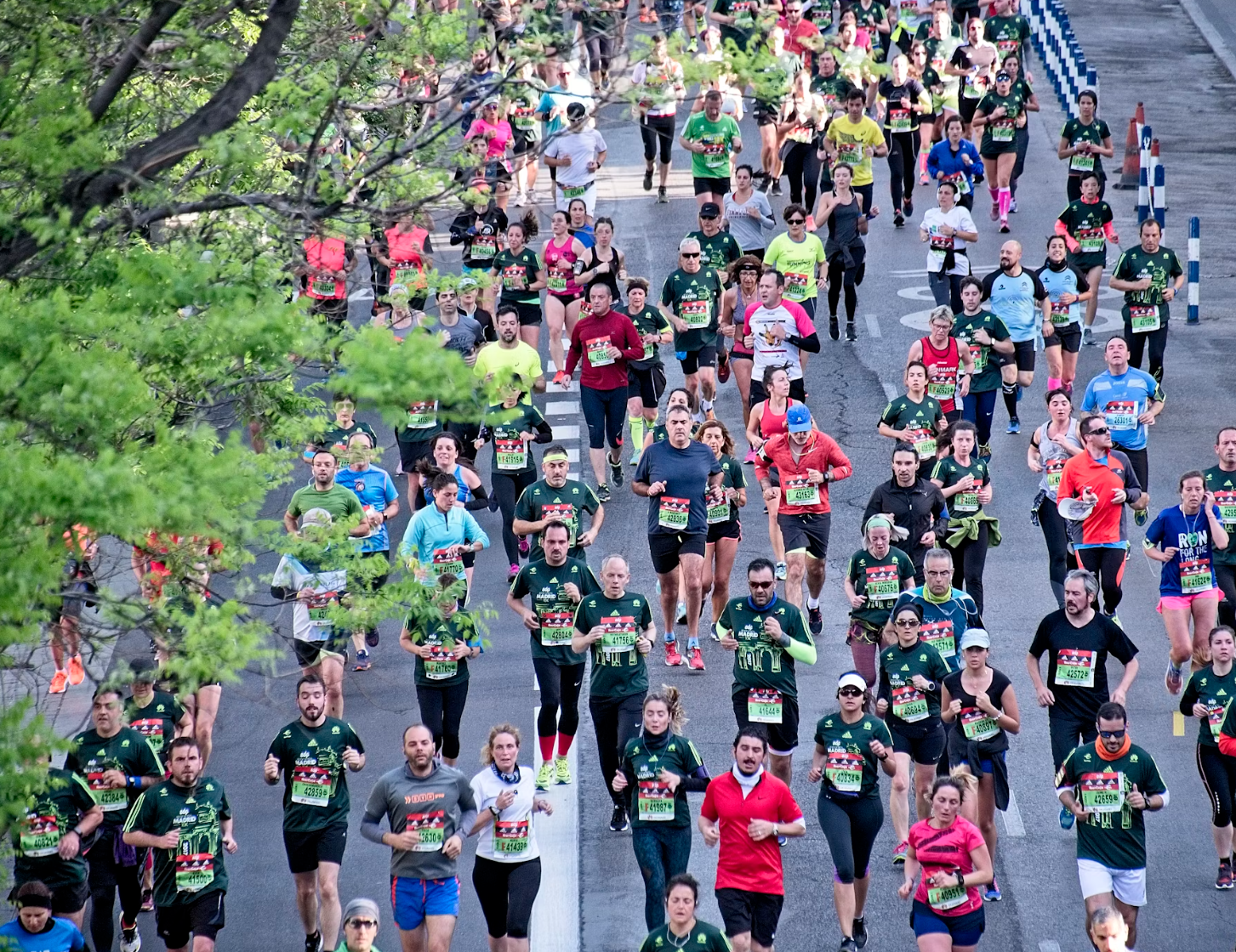 마라톤 코스 종류별 특징 1