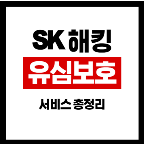 SK 해킹 유심보호 서비스 총정리 사진