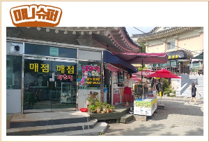 경주 가볼만한 곳 추억의달동네