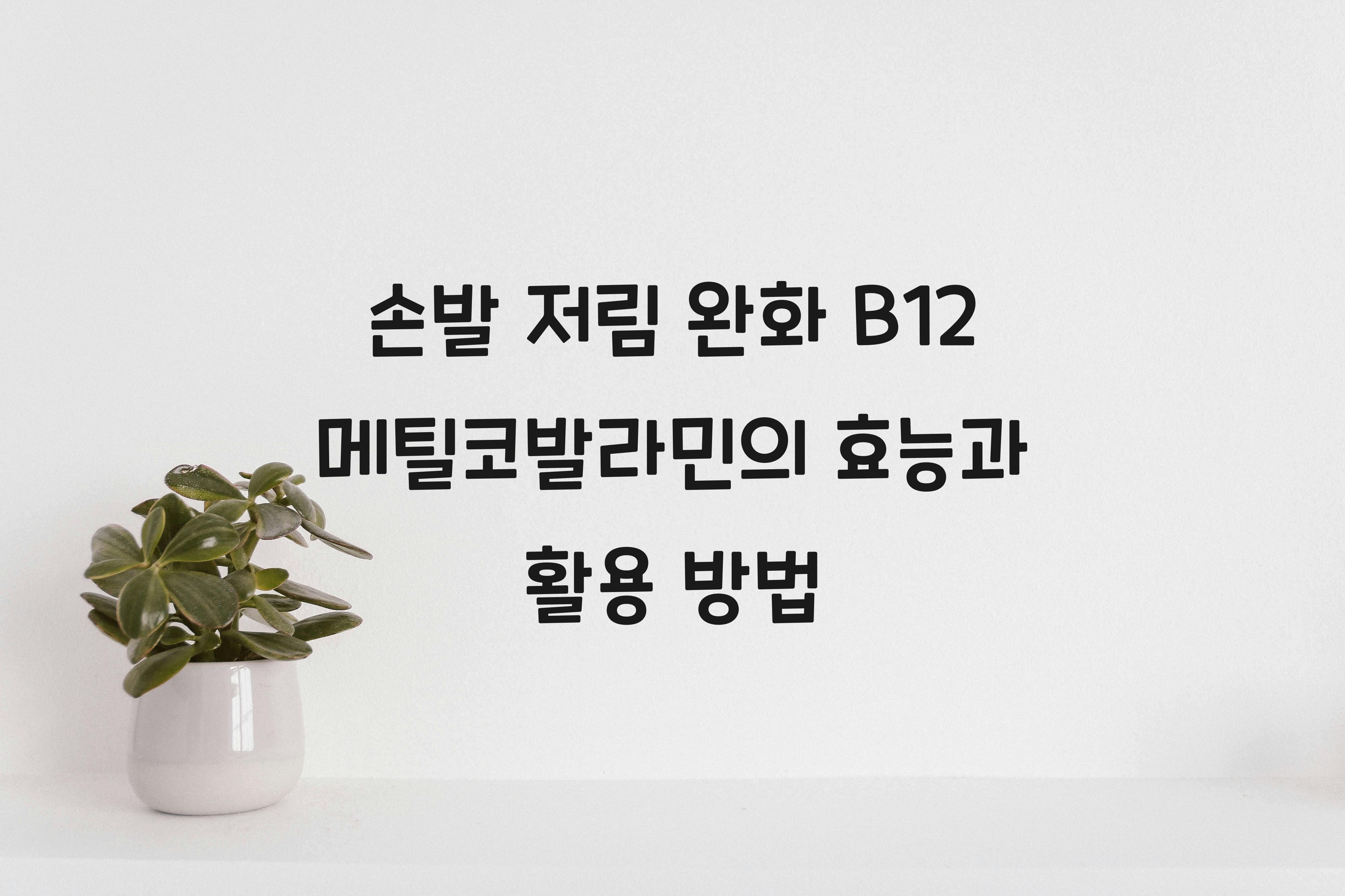 손발 저림 완화 B12 메틸코발라민