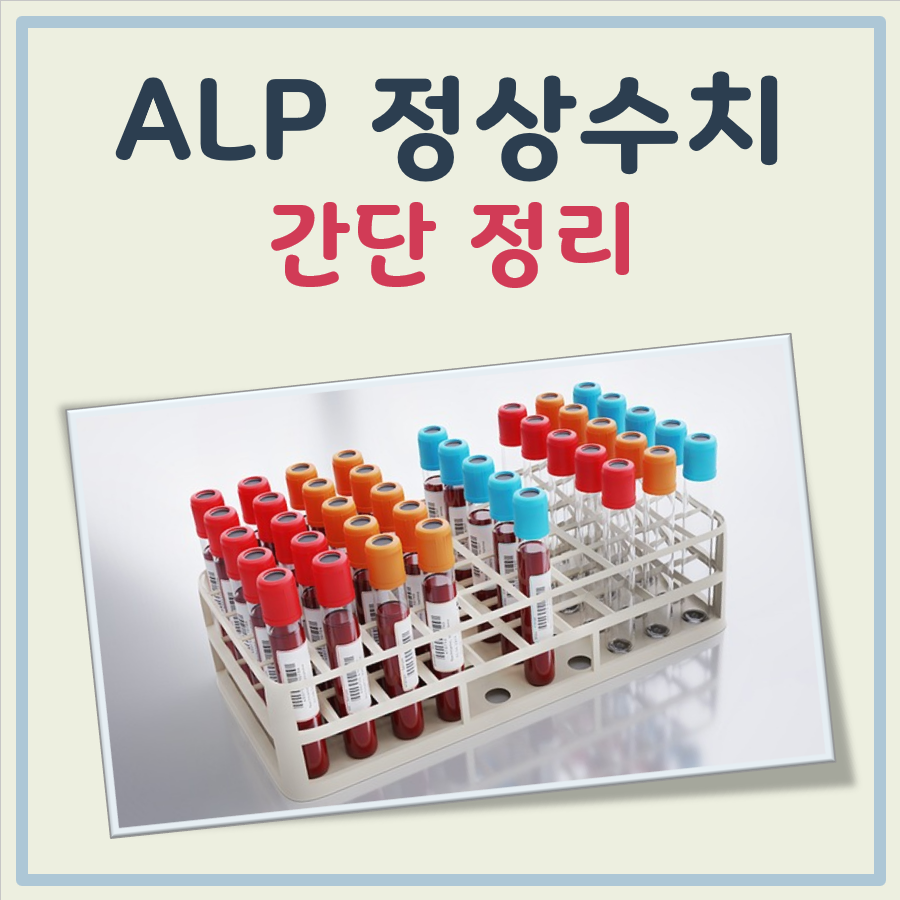 ALP 정상수치 대표 이미지